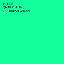 #13FE9C - Caribbean Green Color Image